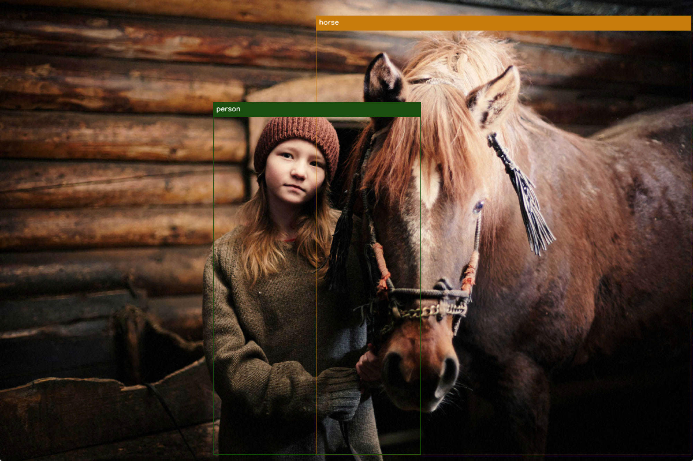 Computer Vision - Person with horse